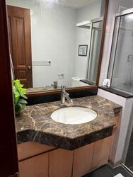 Carissa Park Condominium (D17), Condominium #559395191